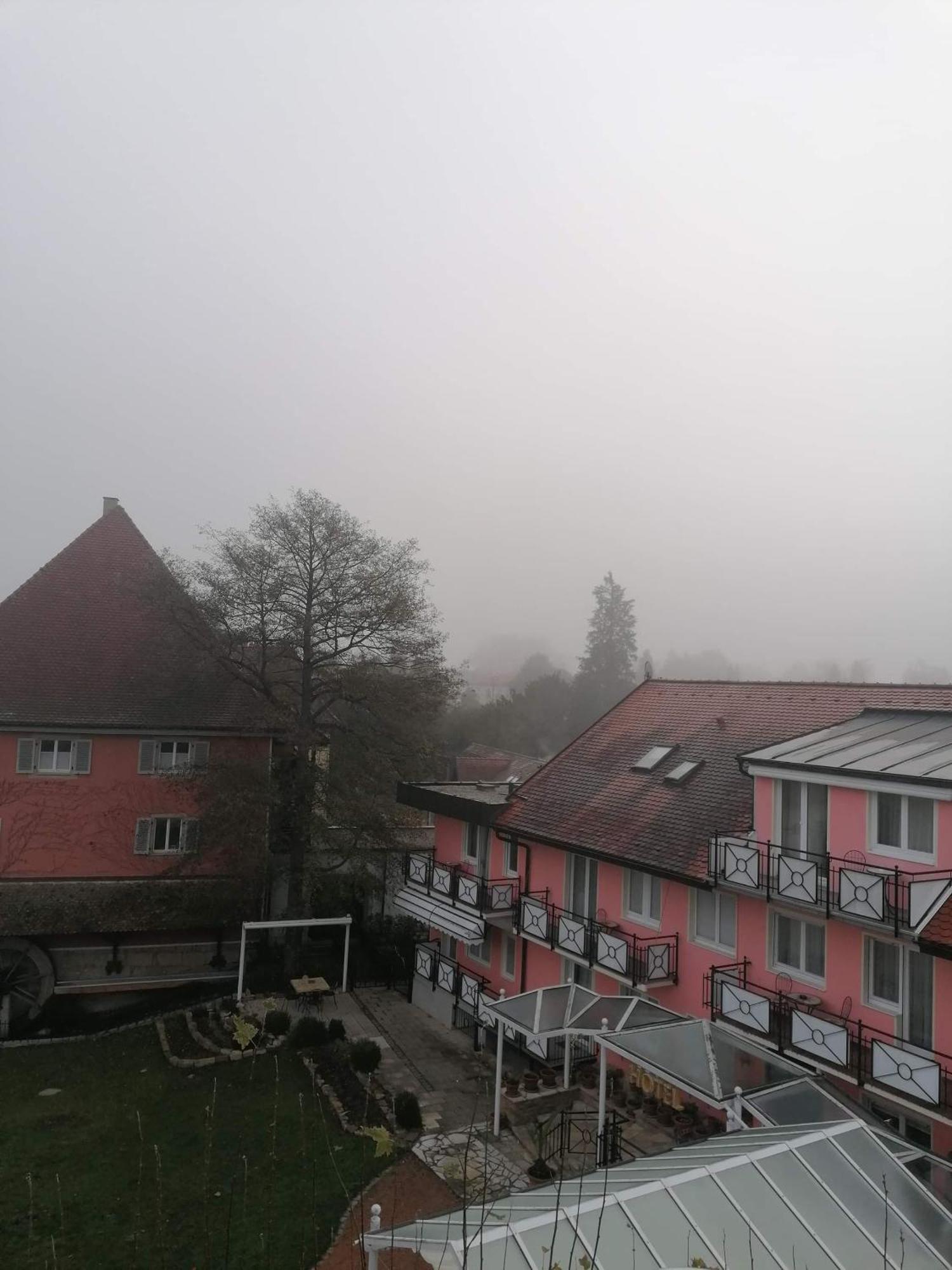 Hotel Hofmann Zur Muehle บาดโครซิงเงน ภายนอก รูปภาพ