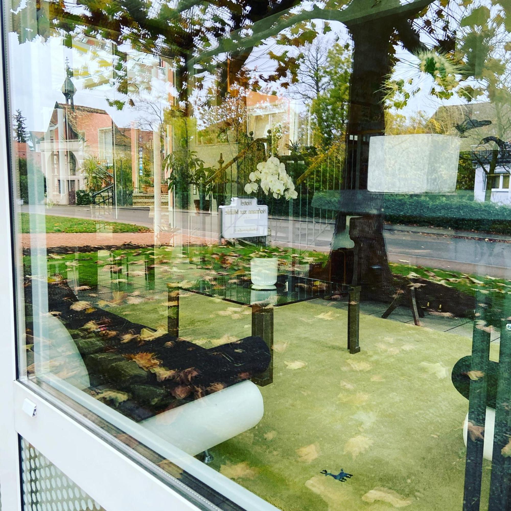 Hotel Hofmann Zur Muehle บาดโครซิงเงน ภายนอก รูปภาพ